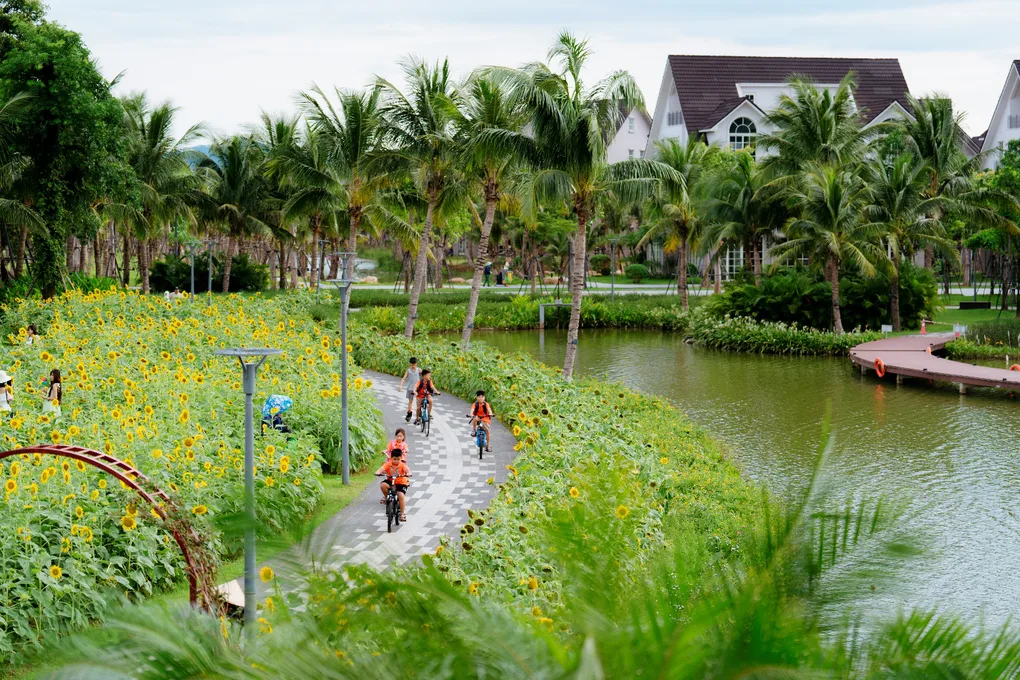 Trẻ em đạp xe cạnh cánh đồng hoa hướng dương trong khu đô thị Ecopark